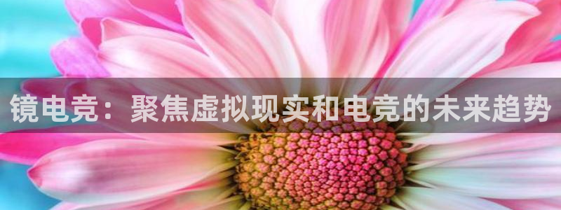 一竞技官网测速入口：镜电竞：聚焦虚拟现实和电竞的未来趋势