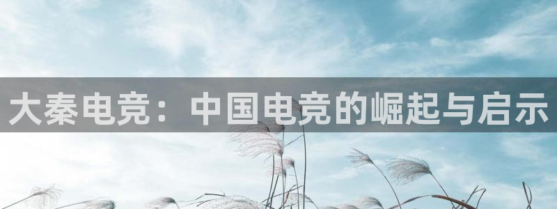 一竞技官网下载：大秦电竞：中国电竞的崛起与启示