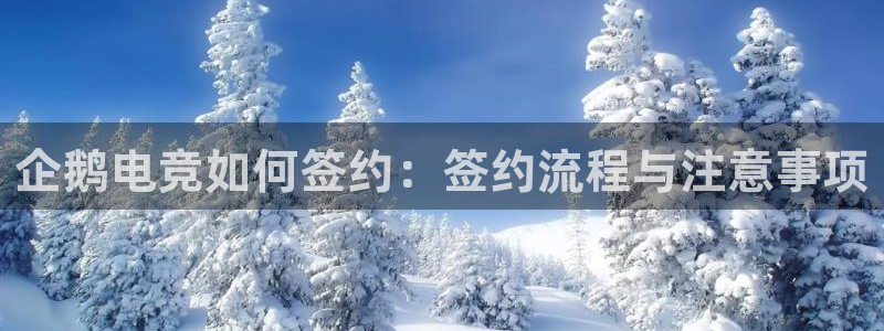 一竞技官网测速入口：企鹅电竞如何签约：签约流程与注意事项