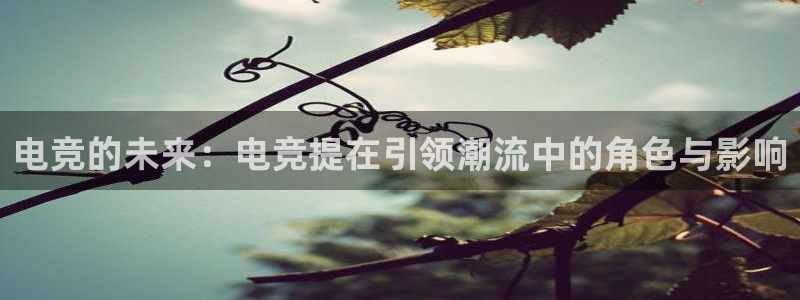 一竞技测速：电竞的未来：电竞提在引领潮流中的角色与影响