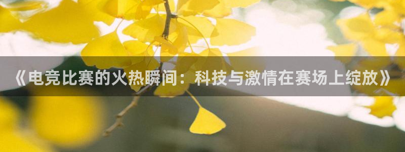 一竞技官网下载：《电竞比赛的火热瞬间：科技与激情在赛场上绽放》