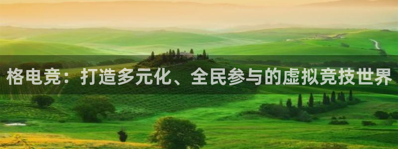 一竞技测速站网址：格电竞：打造多元化、全民参与的虚拟竞技世界