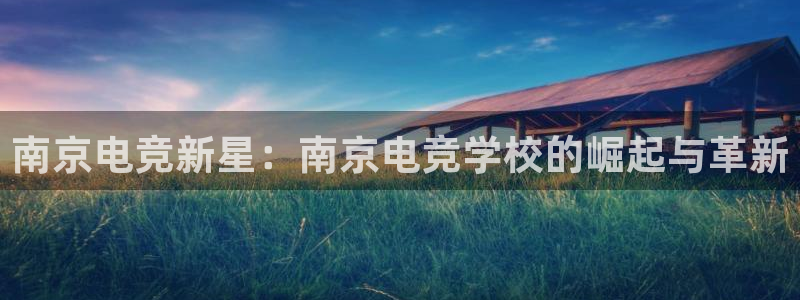 一竞技电竞：南京电竞新星：南京电竞学校的崛起与革新