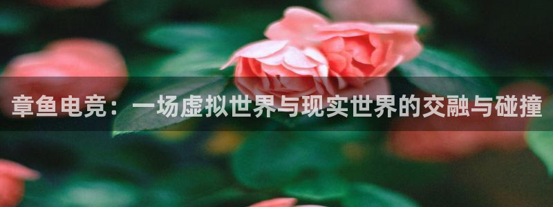 一竞技app官方网站：章鱼电竞：一场虚拟世界与现实世界的交融与碰撞