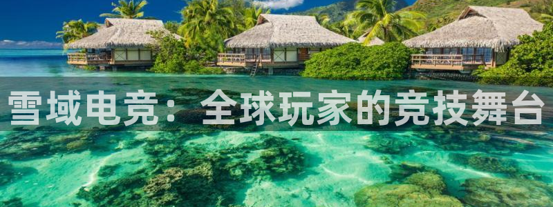 一竞技这个平台怎么样：雪域电竞：全球玩家的竞技舞台