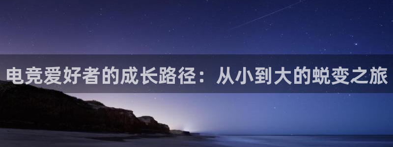 一竞技这个平台怎么样：电竞爱好者的成长路径：从小到大的蜕变之旅