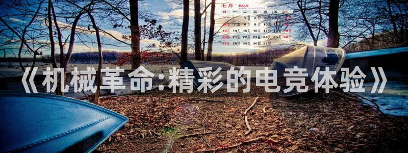 一竞技app官网入口：《机械革命:精彩的电竞体验》