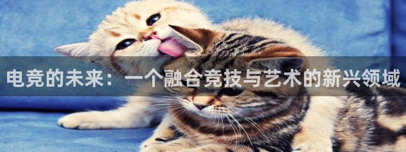 一竞技app官网入口：电竞的未来：一个融合竞技与艺术的新兴领域