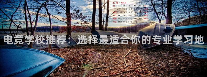 一竞技网页版入口：电竞学校推荐：选择最适合你的专业学习地